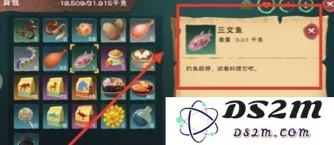 创造与魔法水池龟饲料怎么做 水池龟饲料做法：让你的水池龟健康成长的秘密武器！