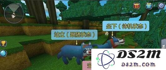 迷你世界怎么驯服狼当坐骑 驯服狼当坐骑技巧：轻松获取你的狼坐骑，探索无尽的世界！