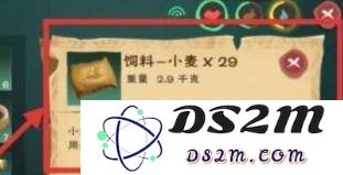 创造与魔法云斑鹦鸟饲料怎么做 云斑鹦鸟饲料做法：轻松打造，鸟儿快乐飞舞