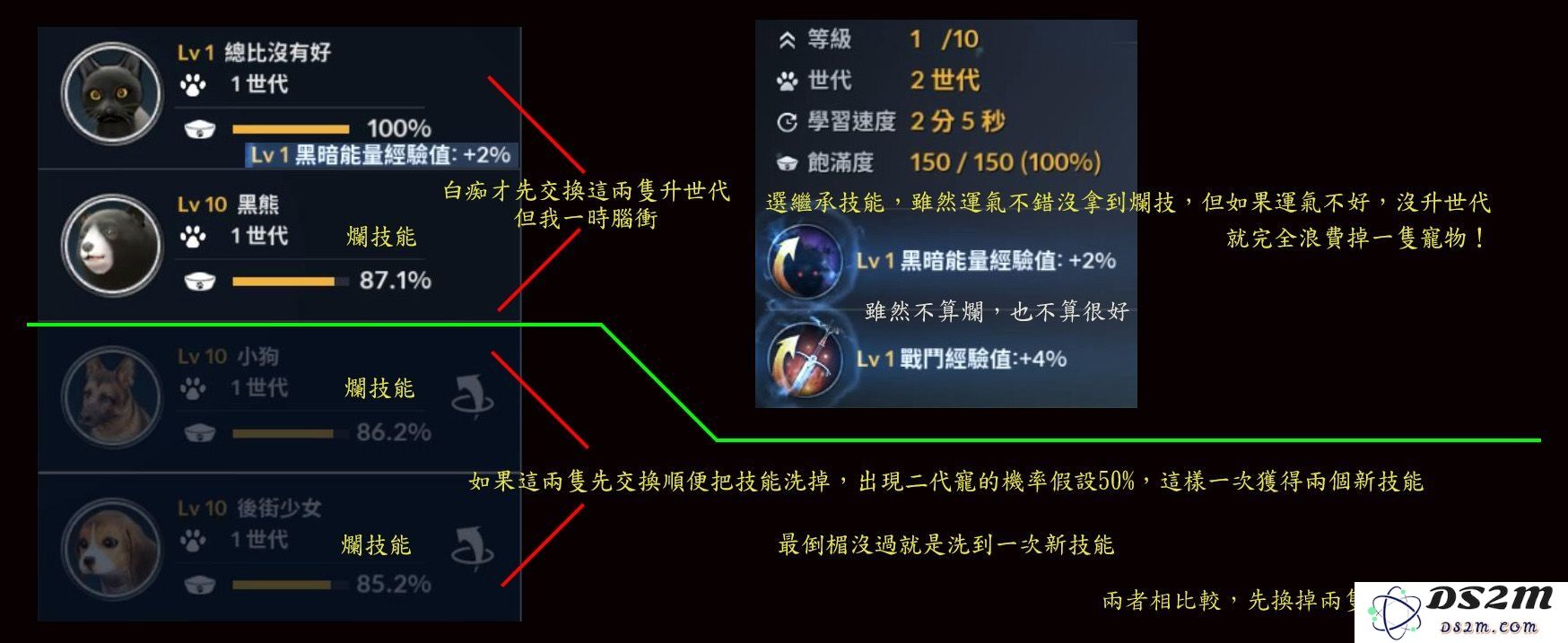 黑色沙漠手游马匹如何提升 马匹提升注意事项：骑士们的梦想与荣耀，助你获得骑宠巅峰！