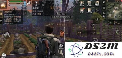 明日之后怎么获得小树枝 小树枝详细获得攻略：你绝对不能错过的获取技巧！