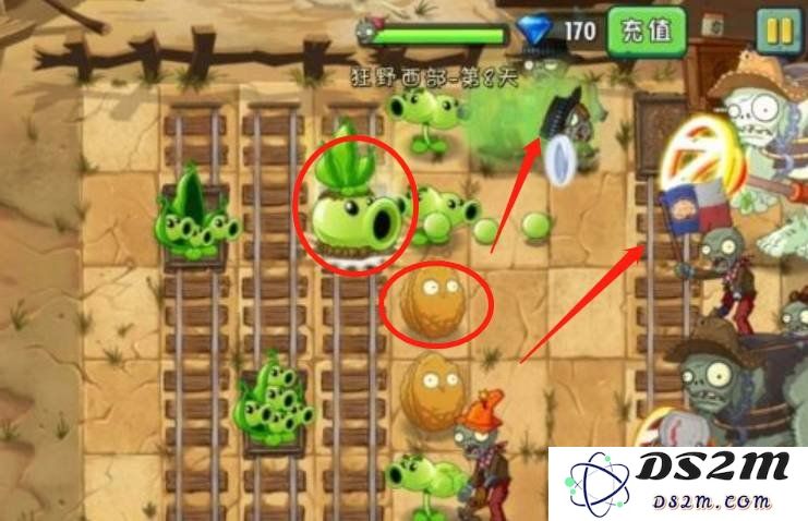 植物大战僵尸2狂野西部第八天怎么打 简单模式大打法：轻松击败怪物的方法是什么？ 秘密武器揭秘