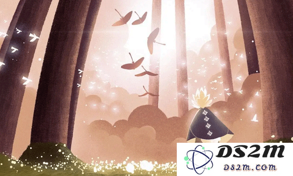 光遇雨林重温先祖的美好回忆在哪 美好回忆位置介绍：这个地方一定要去，太神奇了！