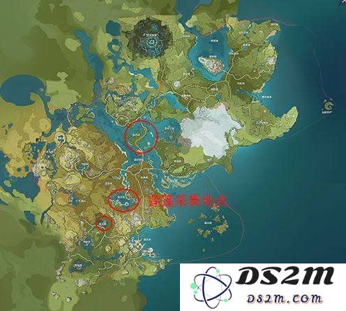 原神莲蓬在哪 莲蓬位置介绍：神秘的莲蓬，开启愈加精彩的冒险之旅！